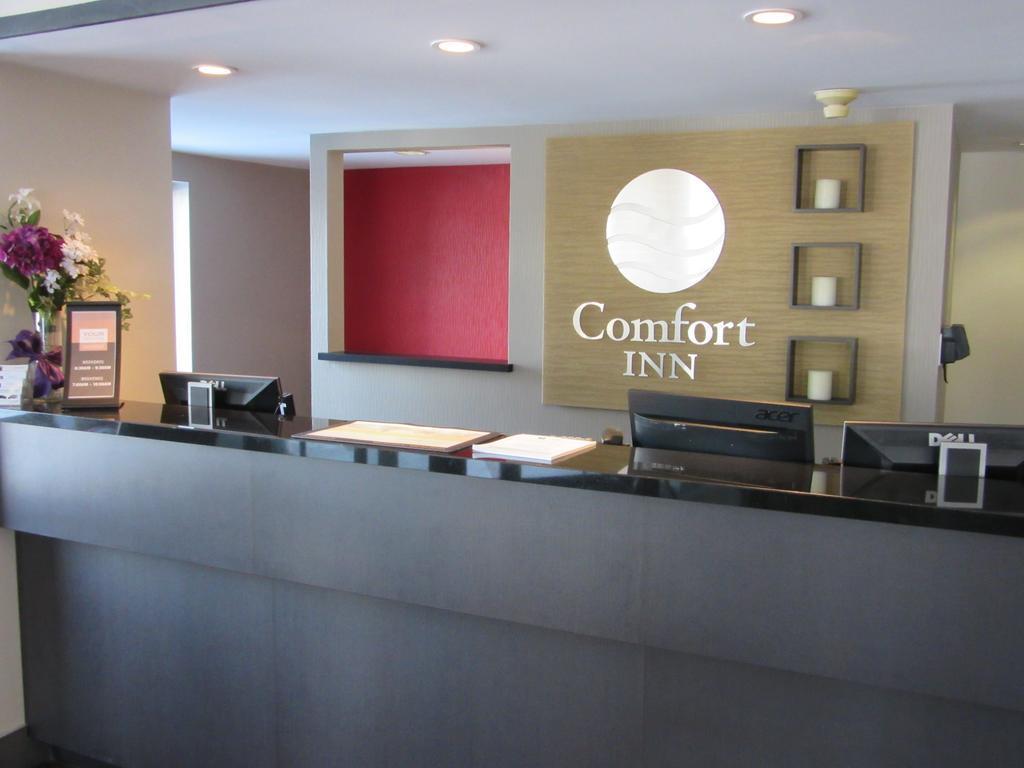 Comfort Inn Cobourg Eksteriør bilde